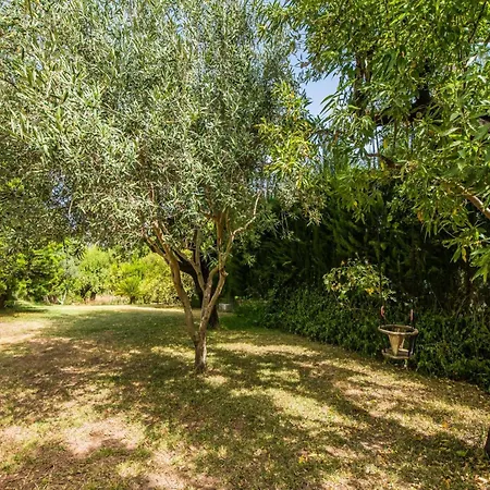Rustic House With Pool In Mallorca Holiday home Inca (Mallorca)